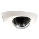 IP Cameras