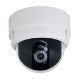 IP Cameras