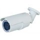 IP Cameras